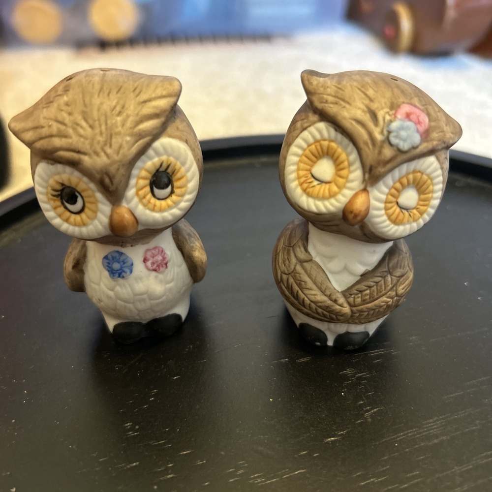 Vintage 1950's ceramic owls kitchen salt & pepper shaker flowers mid century